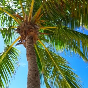 Meet your Posher ! 🏝